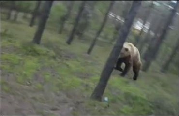 Un cycliste poursuivi par un ours dans la forêt