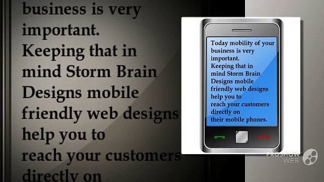 Features of Storm Brain Designs Web Design Services