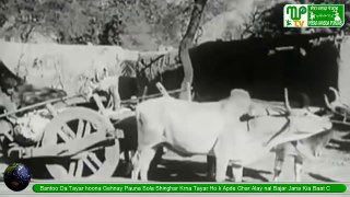 History of Mera Wasda Punjab Before Partition 1940