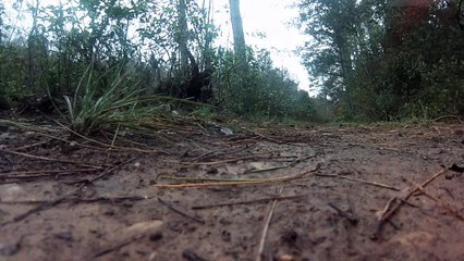 Ma première video avec le phantom 2 + zenmuse 3H3D