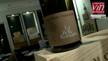 Vin bio : Coup de cœur pour une mondeuse noire de Savoie