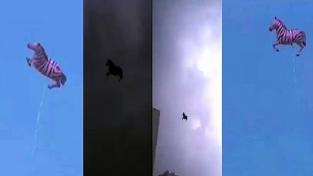 Reality of flying horse in the sky