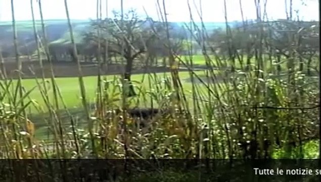 Terreni agricoli nel Salento, lo spettro dell'Imu incombe