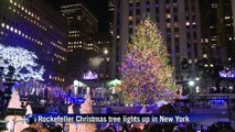 Rockefeller Christmas tree lights up in New York