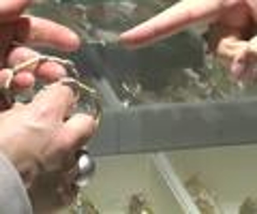 Altında çadır günleri başladı