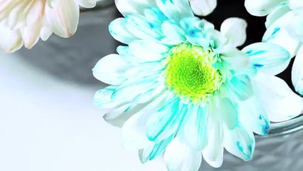 Colorful Tricks You Have To See To Believe