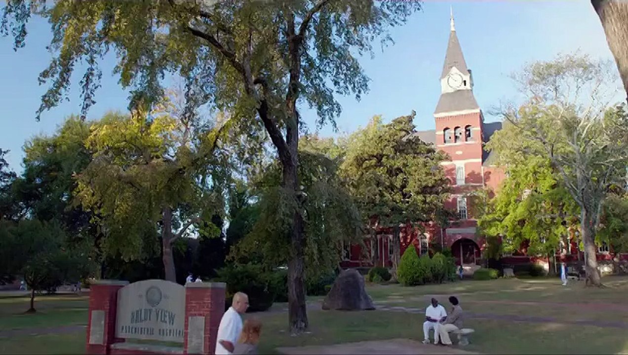 Scemo & più scemo 2 (2014)