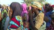 Boko Haram terrorise le nord-est du Nigéria