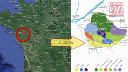 Vin bio : Coup de cœur pour un muscadet du domaine de La Pépière