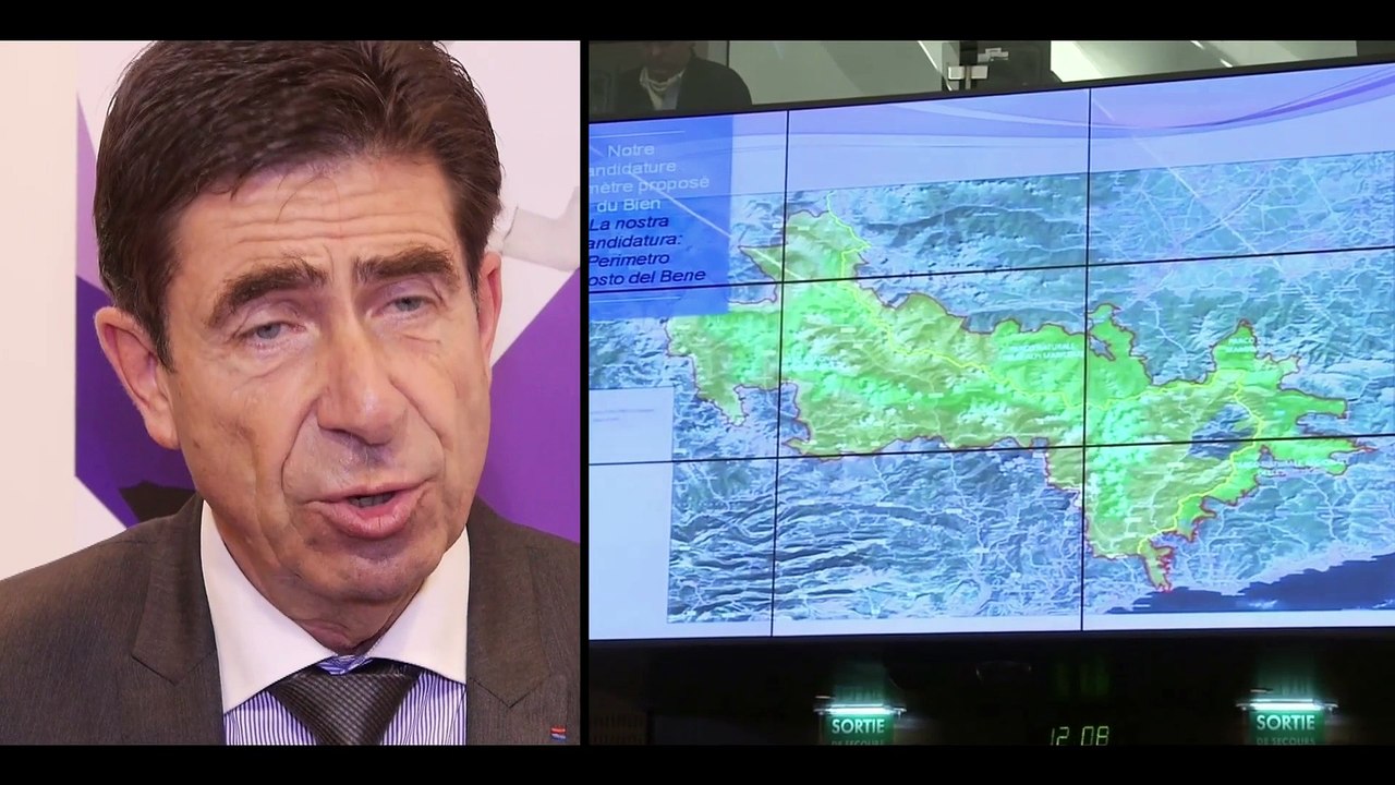 J'ai la fibre - SFR - Charles-Ange Ginesy