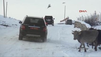 Kars Çıldır Gölü Donmaya Başladı