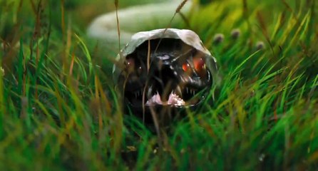 NOAH Official Trailer [HD]