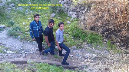shezada,waqas,ali,and,frnds,song ram lela sond