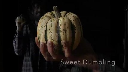 Xavier Mathias aime ses courges - 2