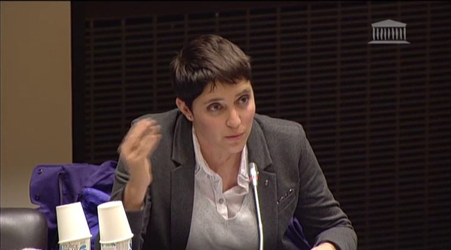Marie Debrus de l'AFR à l'Assemblée Nationale sur la loi de santé sur la Réduction des risques liés à la drogue