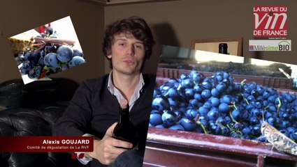 Vin bio : Coup de cœur pour deux cuvées de carignan