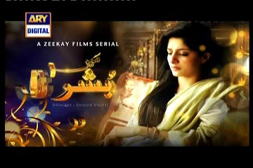 Main Bushra Episode 13 on Ary Digital 4th December 2014