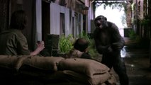 Koba = Danger DAWN OF THE PLANET OF THE APES Movie Clip