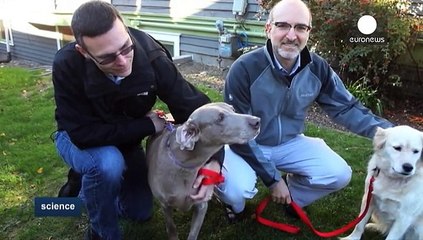 Ciencia antiedad para perros