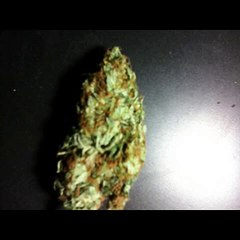 track02\cru ou trop cruel !\@damn-thisshit@mixtape prod.