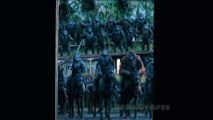 DAWN OF THE PLANET OF THE APES TV Spot (2014)