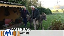 Dam Op met ezels in Onnen - RTV Noord