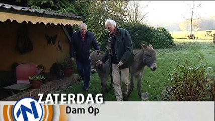 Dam Op met ezels in Onnen - RTV Noord
