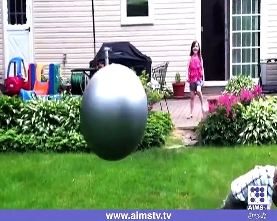 نرم پلاسٹک سے بنی جم بال نہ صرف بچوں ،بڑوں بلکہ جانوروں کو بھی...