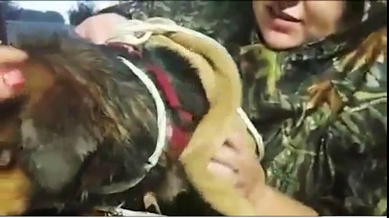 Pendant des mois, ce chiot a été emprisonné dans un bocal en plastique…