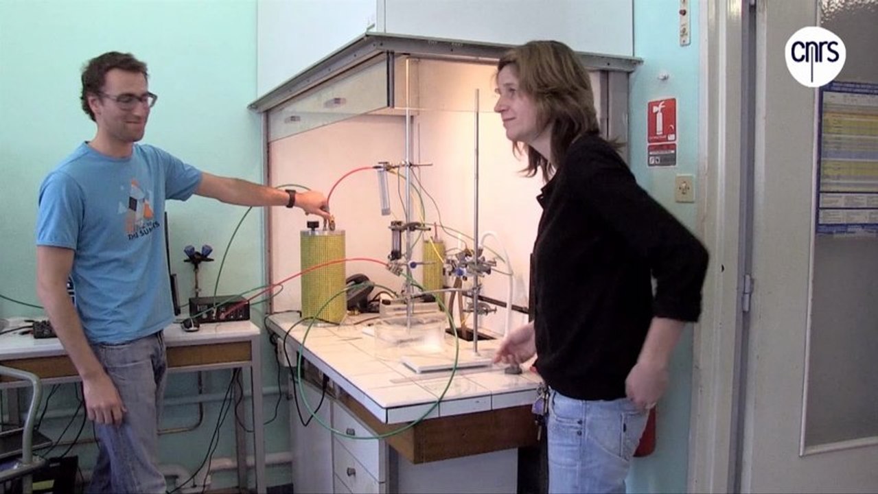 Wiebke Drenckhan - Portrait de "Femmes en physique"