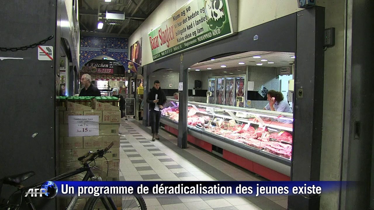 Le Danemark réhabilite les jihadistes