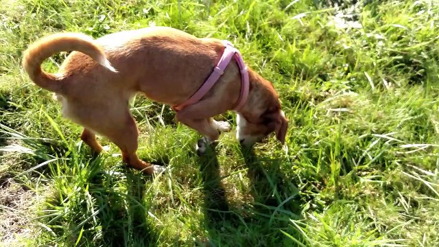 Motorola DROID Turbo 4K sample footage