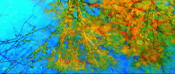 Movies Trailers Mashup 2014