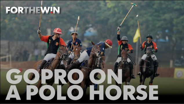 FTW! GoPro on a Polo Horse