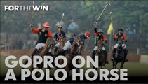 FTW! GoPro on a Polo Horse