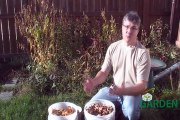 How Do You Compost? Composting Tips