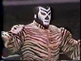 Mil Máscaras vs The Destroyer 　USヘビー級戦　☆1973