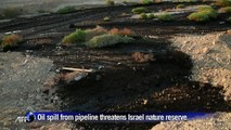 Oil spill from major pipeline threatens Israel nature reserve