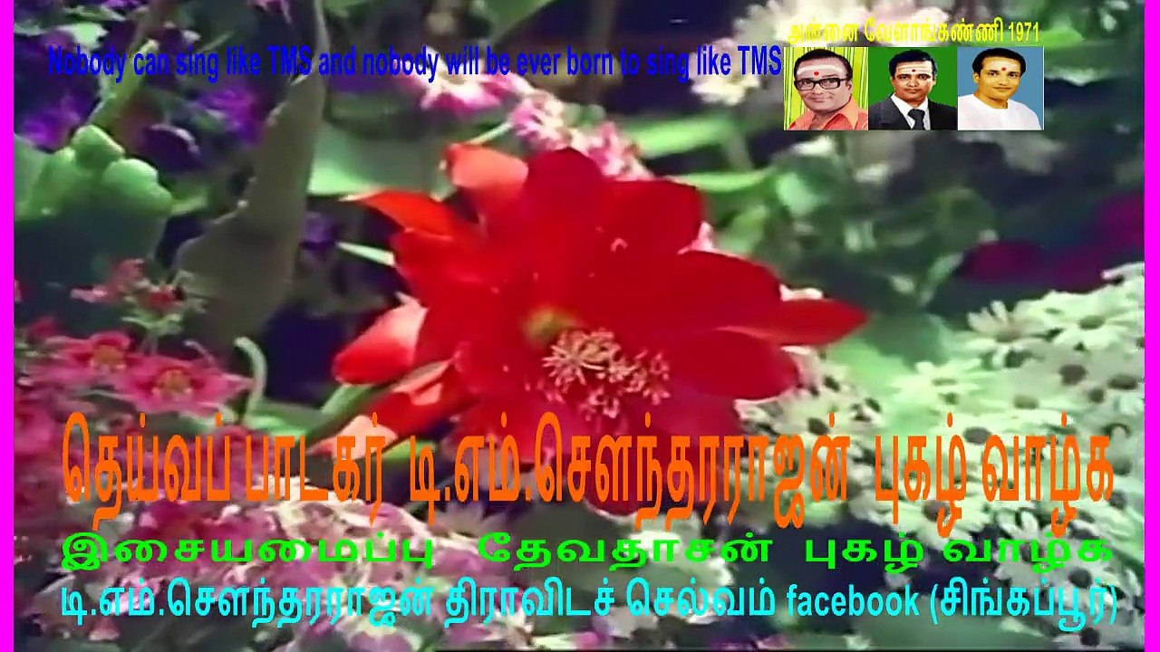 annai velegkanni2