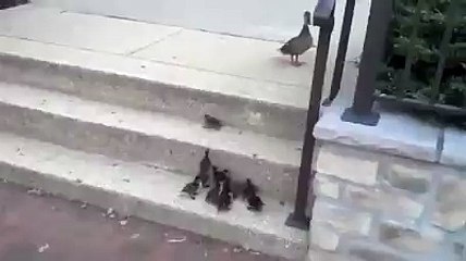 maa ta maa hi hundi aa