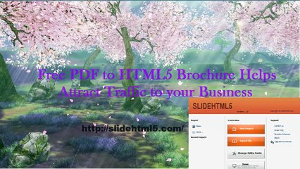 Create a Powerful Multi-media Page Slide Brochure