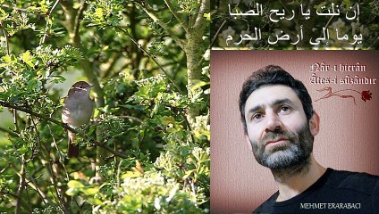 İnnilte Yari (Arapça) - Mehmet ERARABACI (إن نلت)