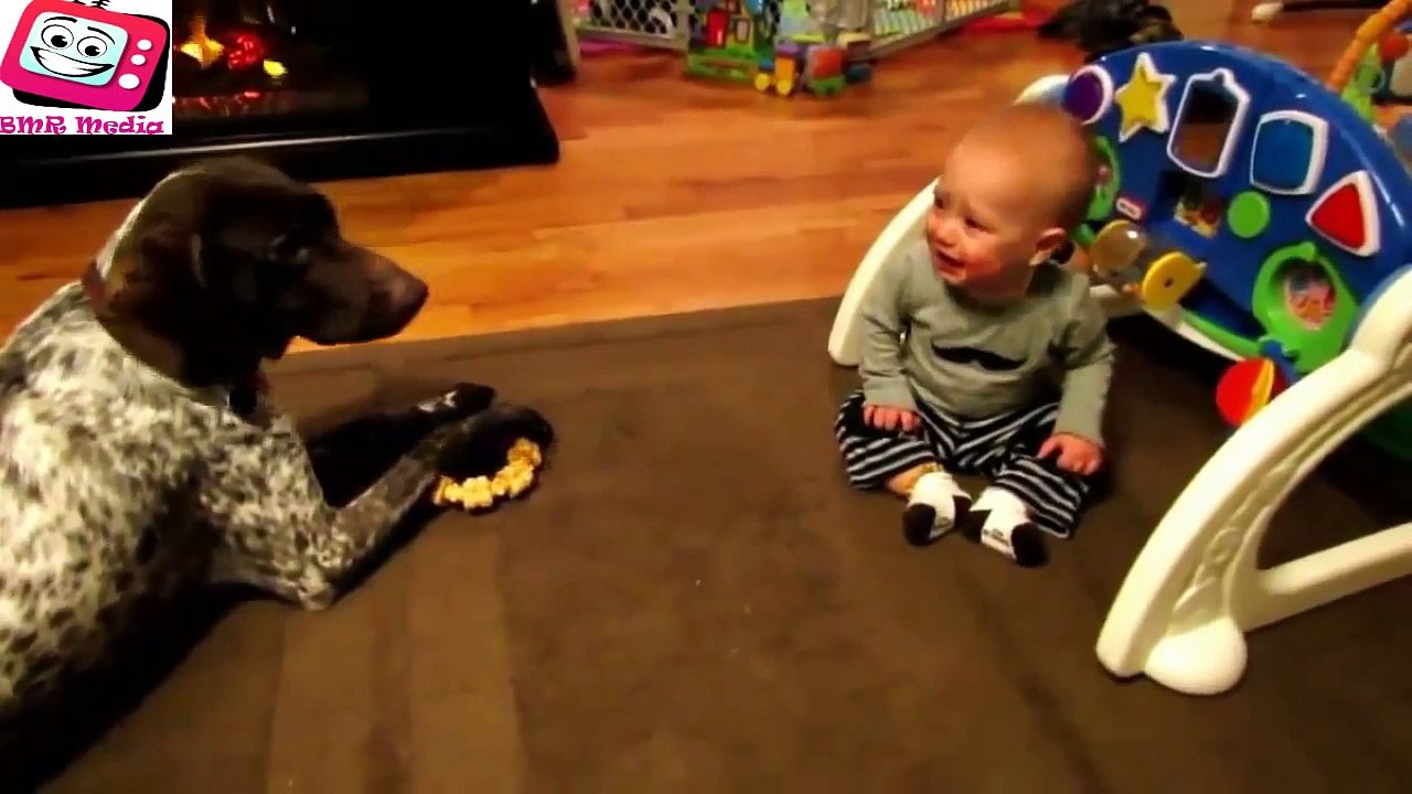 Top Funny Animals & Babyes Compilation 2014