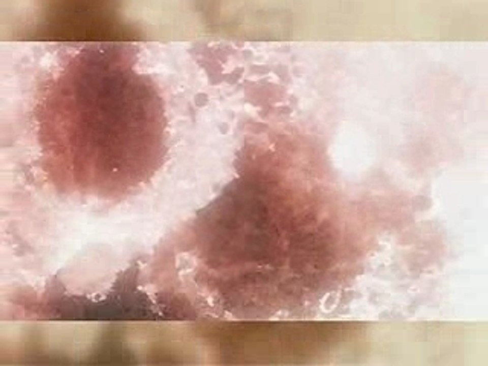 Ikkitousen Dragon Destiny - Ending