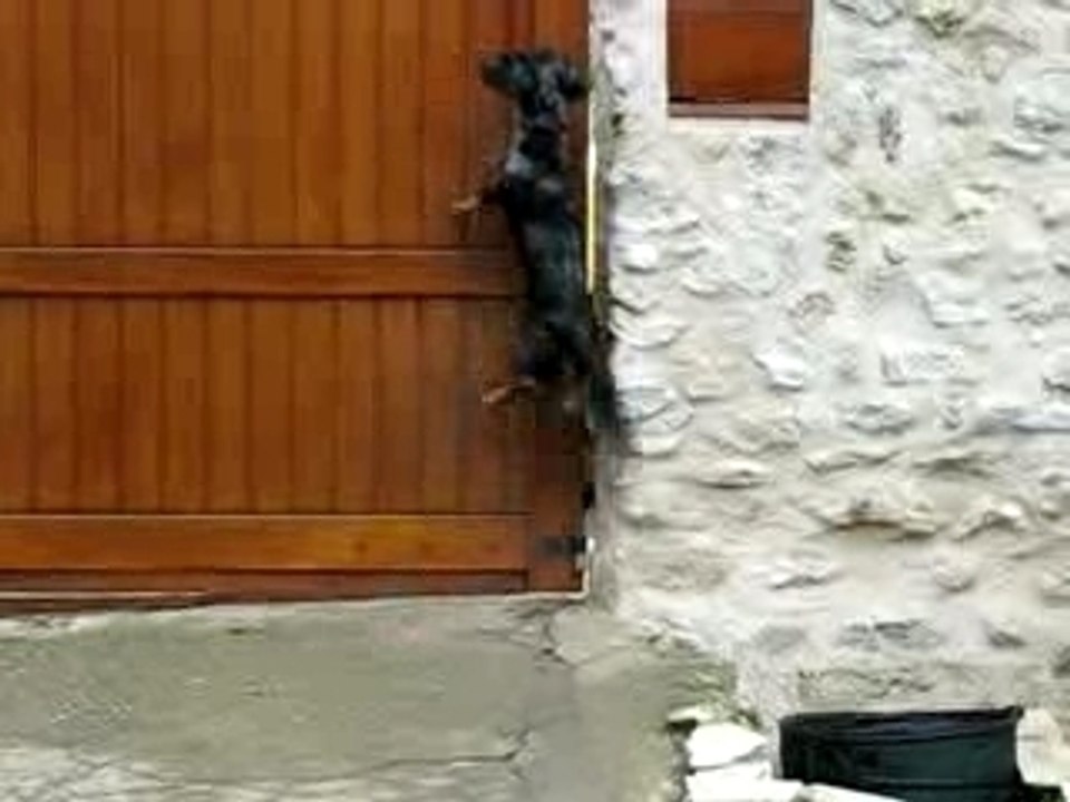 Chloé accueille le facteur