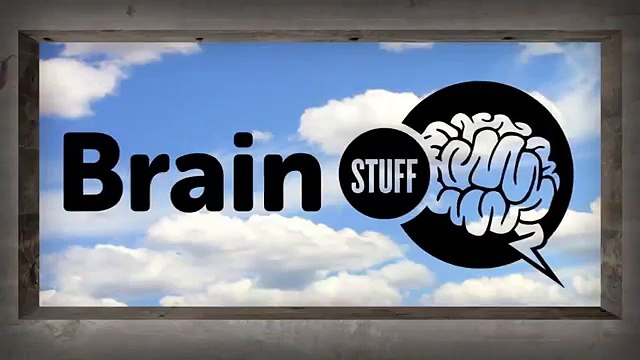 How Do Ants Communicate