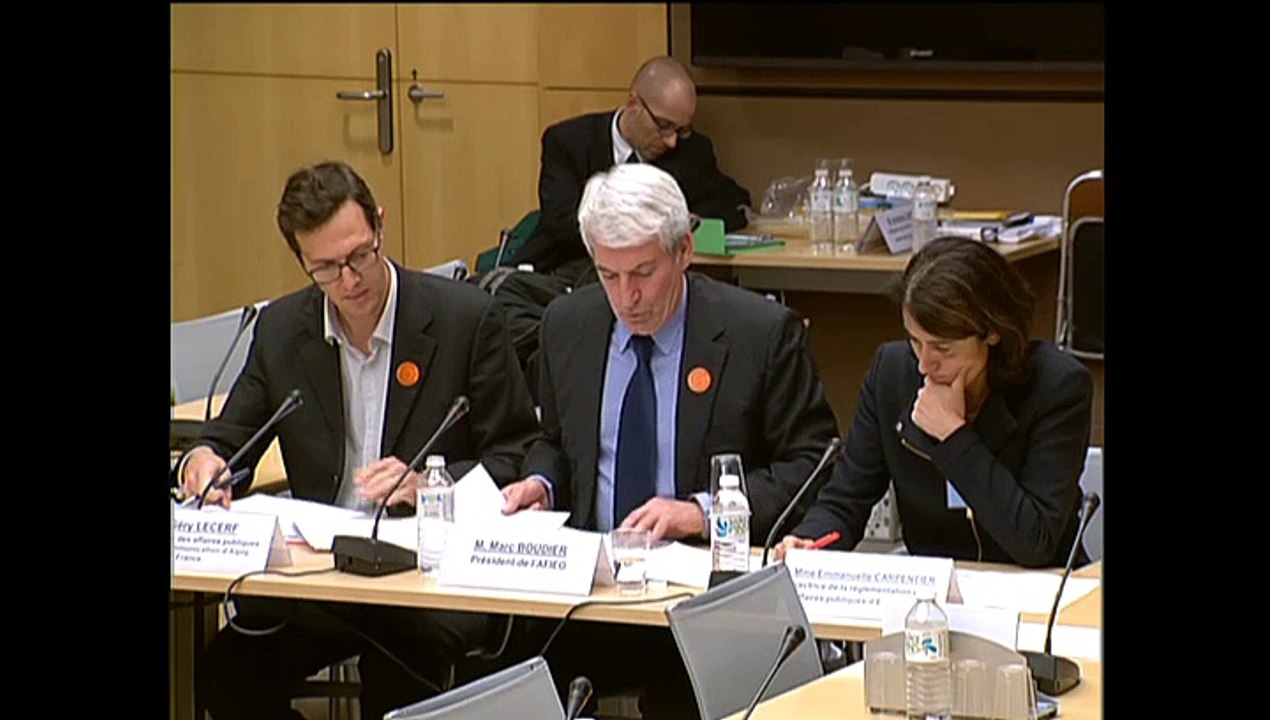 Audition de M. Marc Boudier, pdt de l'AFIEG - Mercredi 3 Décembre 2014