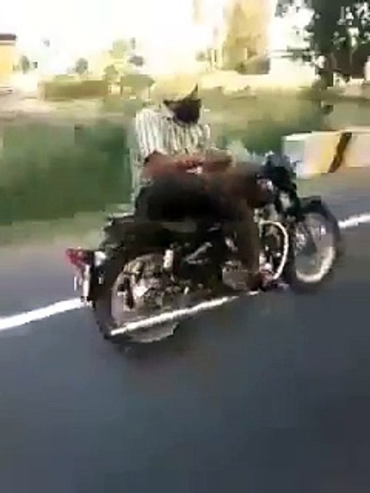 A Casual Drive in India - Amazing