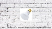 LSE Lighting Replacement Bulb for Grande Lava lamp R20 100W 120V Review