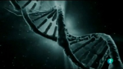 Biologia molecular: Severo Ochoa